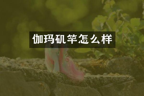 伽玛矶竿怎么样