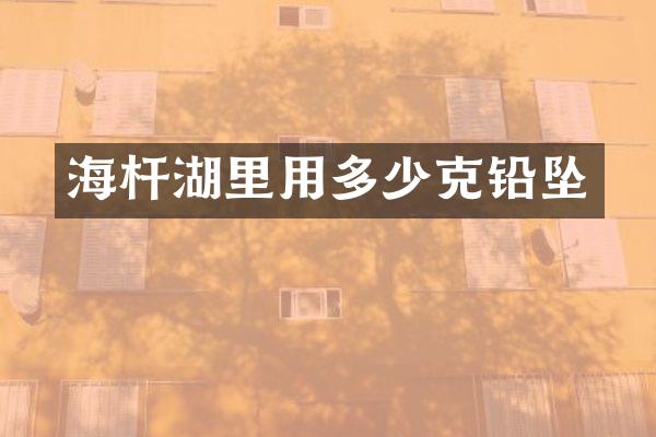 海杆湖里用多少克铅坠