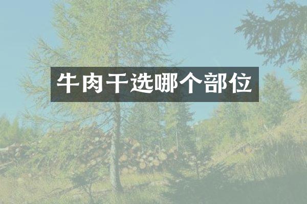 牛肉干选哪个部位