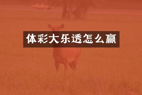 体彩大乐透怎么赢