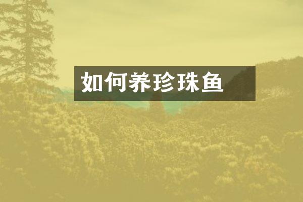 如何养珍珠魟鱼