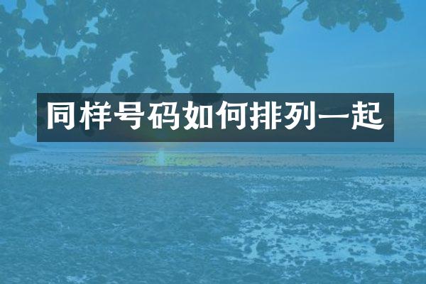 同样号码如何排列一起