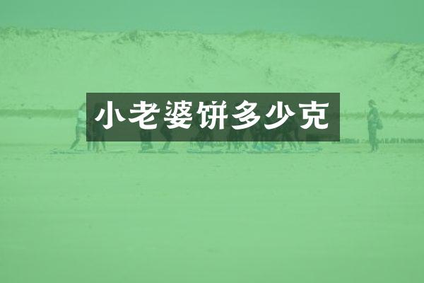 小老婆饼多少克