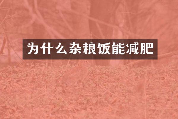 为什么杂粮饭能减肥