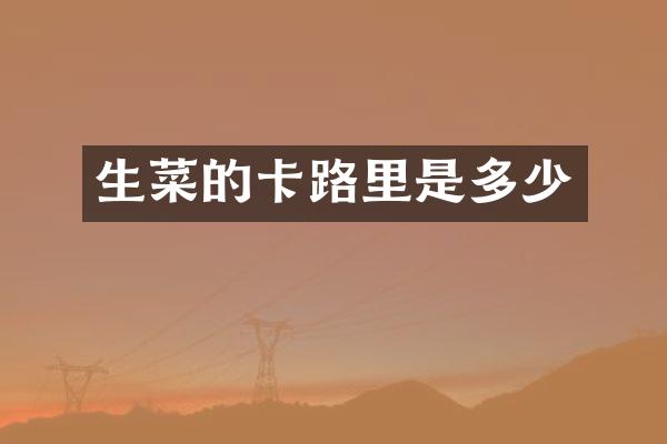 生菜的卡路里是多少