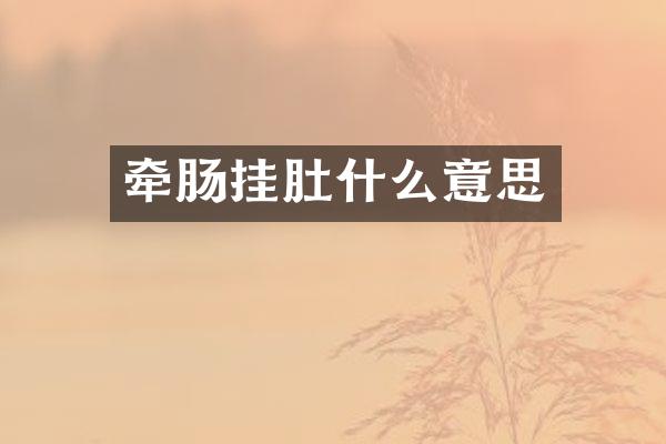 牵肠挂肚什么意思