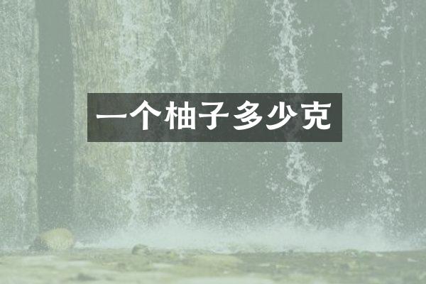 一个柚子多少克