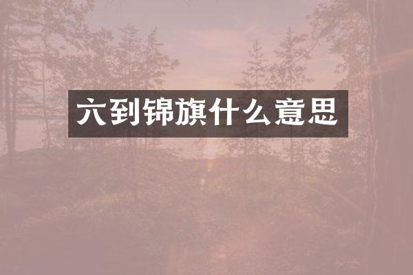 六到锦旗什么意思