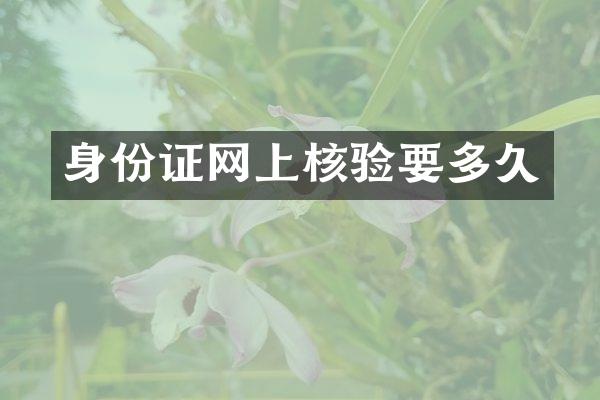 身份证网上核验要多久