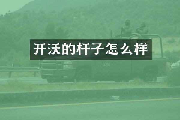 开沃的杆子怎么样
