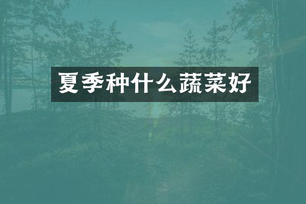 夏季种什么蔬菜好