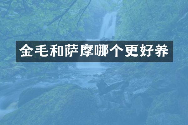 金毛和萨摩哪个更好养