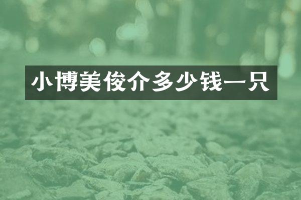 小博美俊介多少钱一只