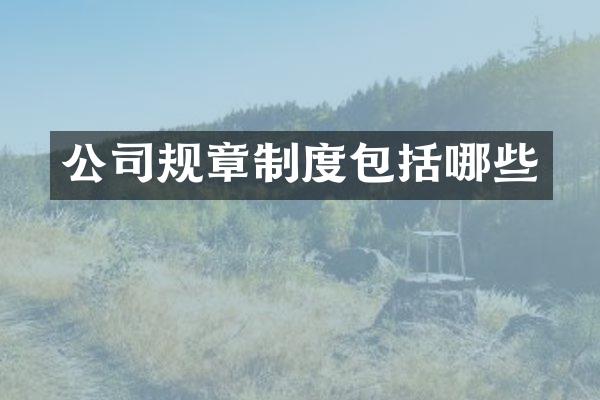 公司规章制度包括哪些