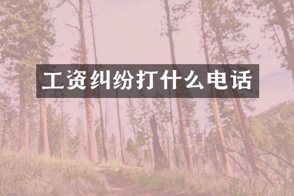 工资纠纷打什么电话