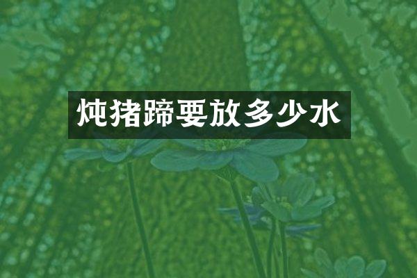 炖猪蹄要放多少水