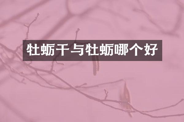 牡蛎干与牡蛎哪个好