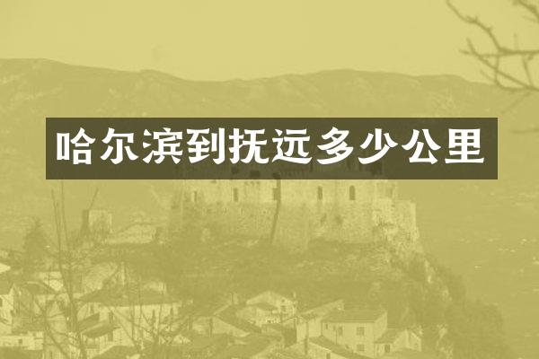 哈尔滨到抚远多少公里