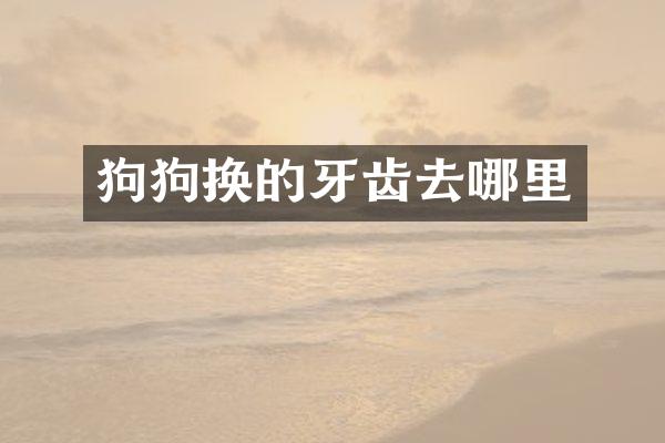 狗狗换的牙齿去哪里