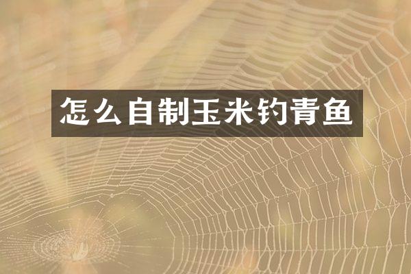 怎么自制玉米钓青鱼