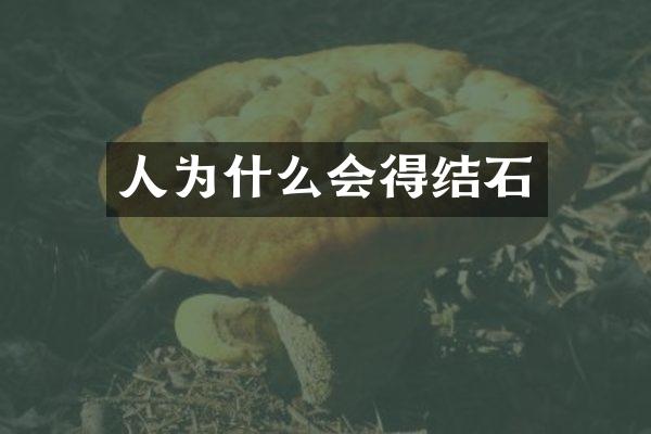 人为什么会得结石