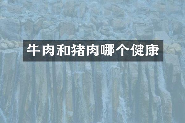 牛肉和猪肉哪个健康