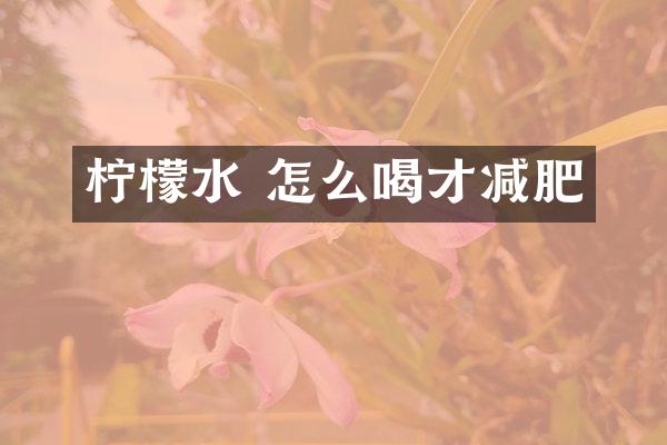 柠檬水 怎么喝才减肥