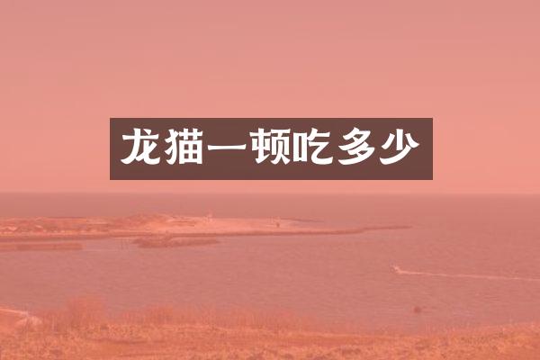 龙猫一顿吃多少