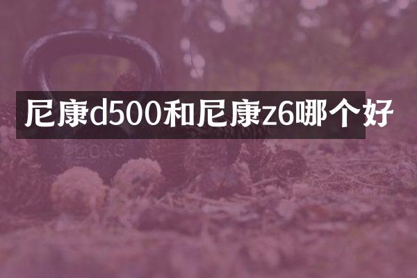 尼康d500和尼康z6哪个好