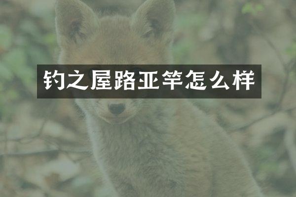 钓之屋路亚竿怎么样