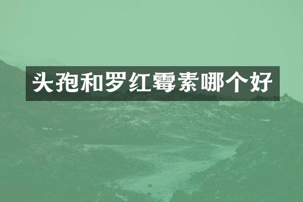 头孢和罗红霉素哪个好