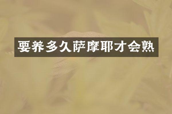 要养多久萨摩耶才会熟