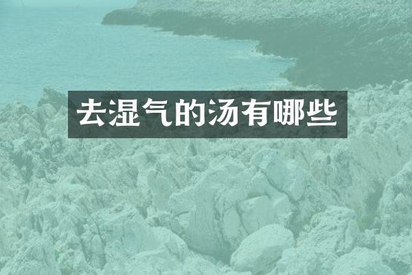 去湿气的汤有哪些