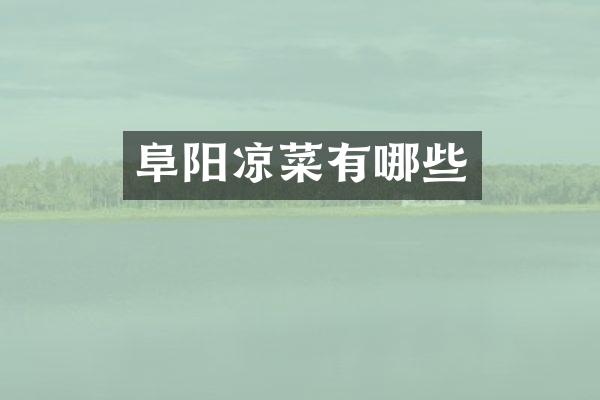 阜阳凉菜有哪些