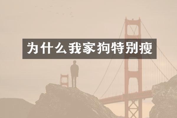 为什么我家狗特别瘦