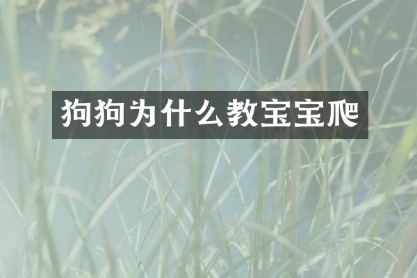 狗狗为什么教宝宝爬