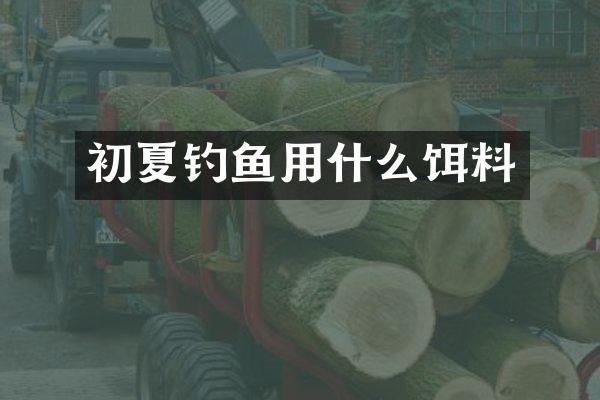 初夏钓鱼用什么饵料