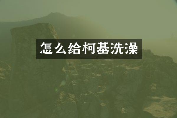 怎么给柯基洗澡