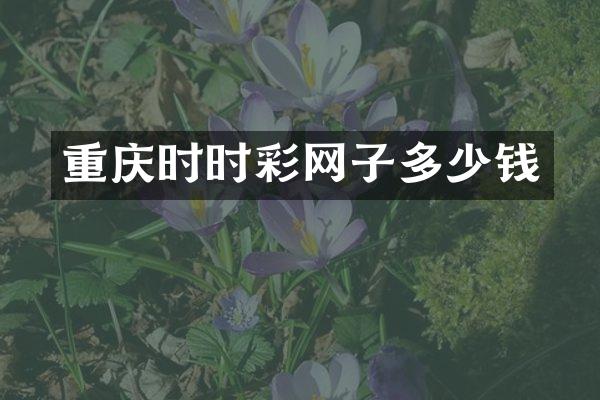 重庆时时彩网子多少钱