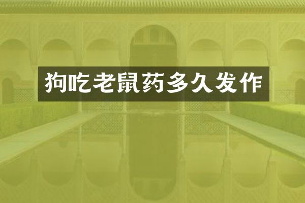 狗吃老鼠药多久发作