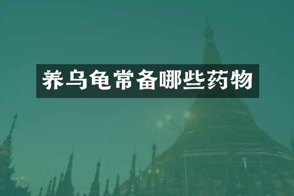 养乌龟常备哪些药物