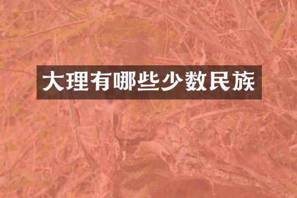 大理有哪些少数民族