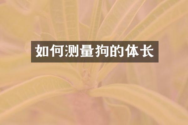 如何测量狗的体长