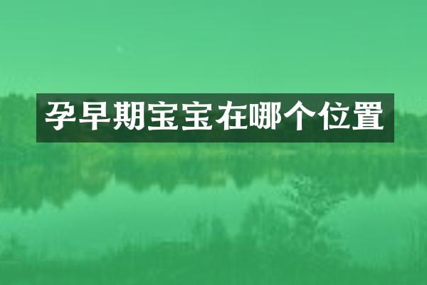 孕早期宝宝在哪个位置