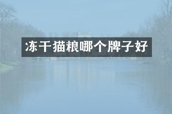 冻干猫粮哪个牌子好