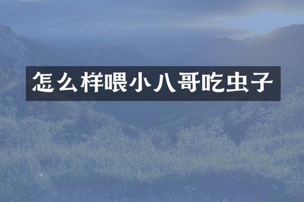 怎么样喂小八哥吃虫子