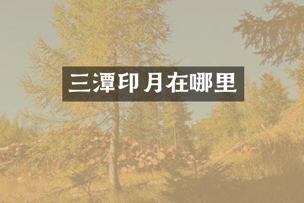 三潭印月在哪里