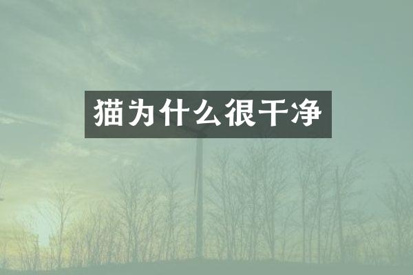 猫为什么很干净