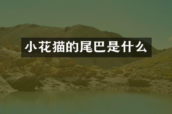 小花猫的尾巴是什么