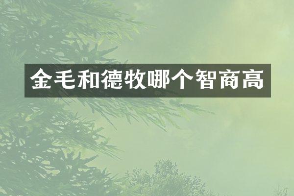 金毛和德牧哪个智商高
